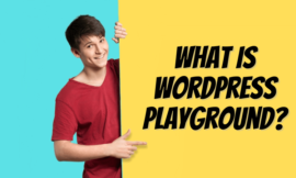 What is WordPress playground?