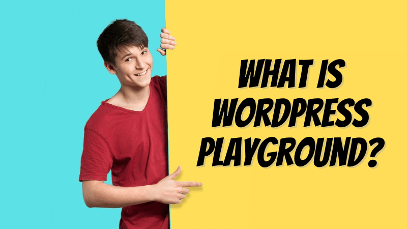 what is WordPress playground (2)